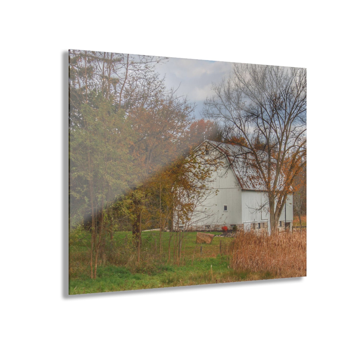 U R There Photography East Oakwood White Rustic Farmhouse Acrylic Wall Print