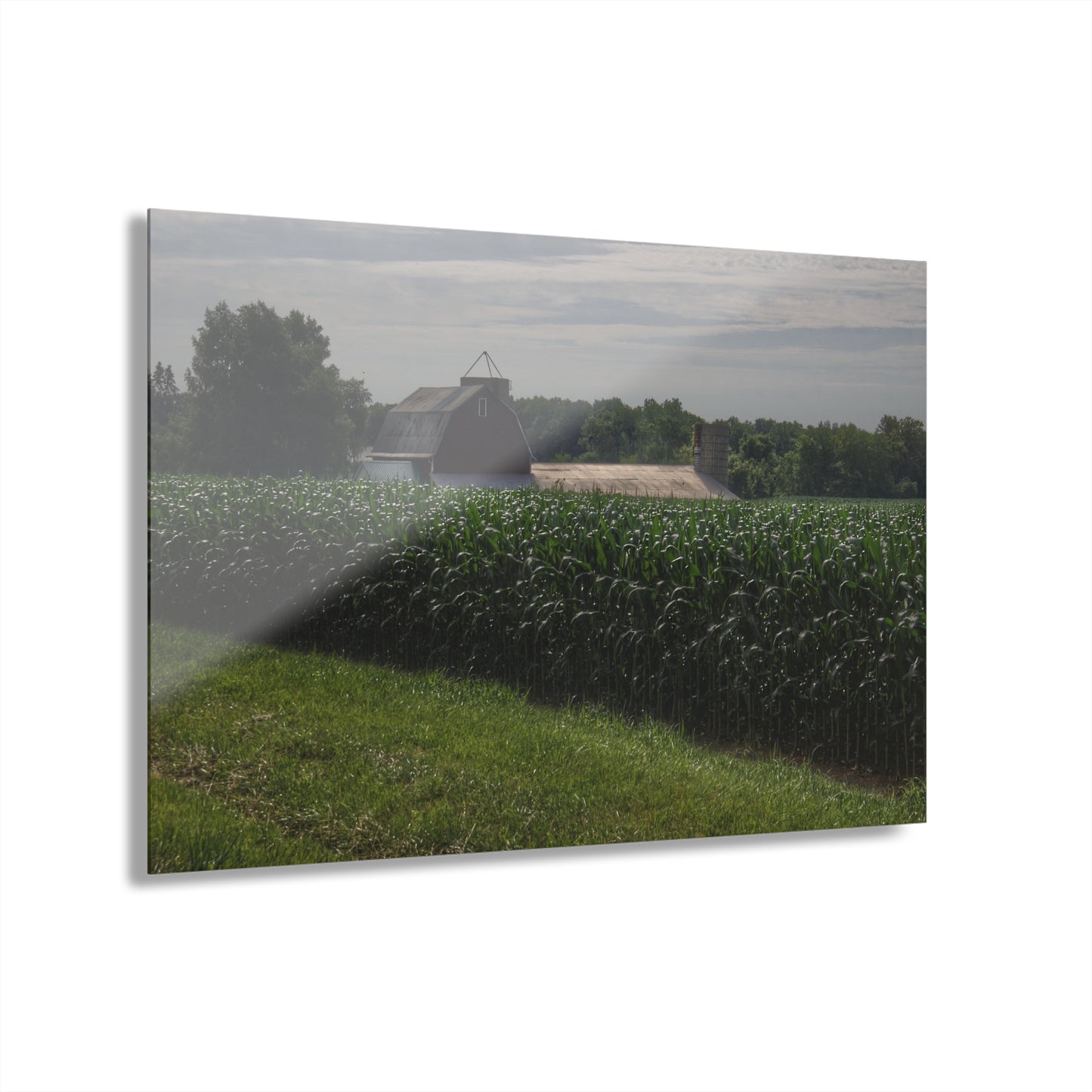 U R There Photography Above the Corn on Piersonville Road II Rustic Farmhouse Acrylic Wall Print