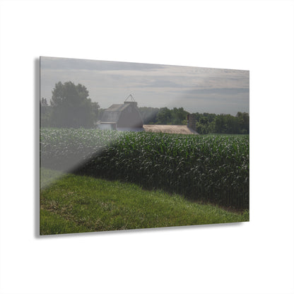 U R There Photography Above the Corn on Piersonville Road II Rustic Farmhouse Acrylic Wall Print
