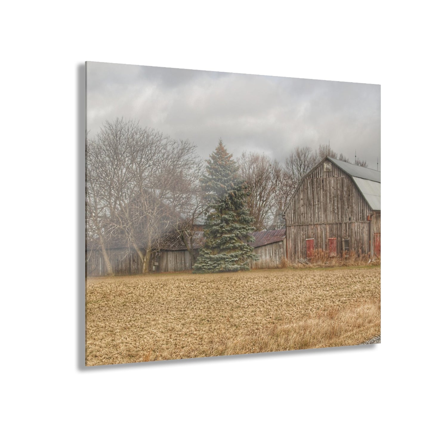 U R There Photography Frankenmuth Flint Street Farm Rustic Farmhouse Acrylic Wall Print