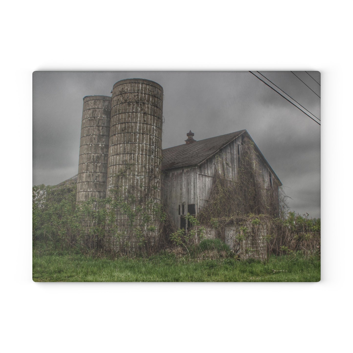 U R There Photography Metamora M-24 Grey I Rustic Farmhouse Tempered-Glass Cutting Board