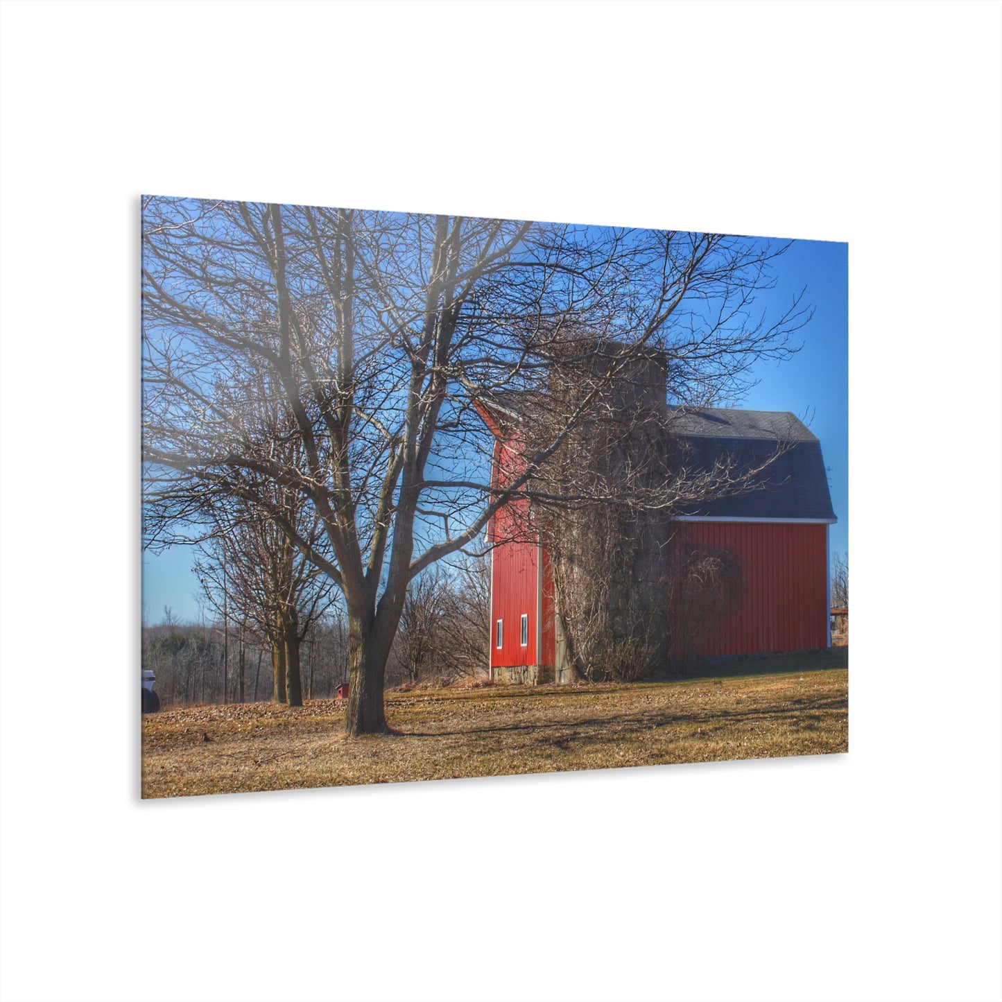 U R There Photography Leonard Road Red Rustic Farmhouse Acrylic Wall Print
