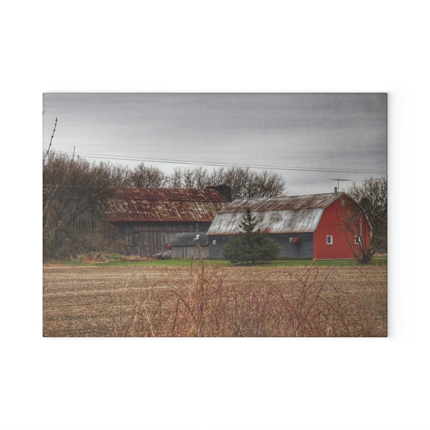 U R There Photography South Summers Road Rusted Grey and Little Red Rustic Farmhouse Tempered-Glass Cutting Board
