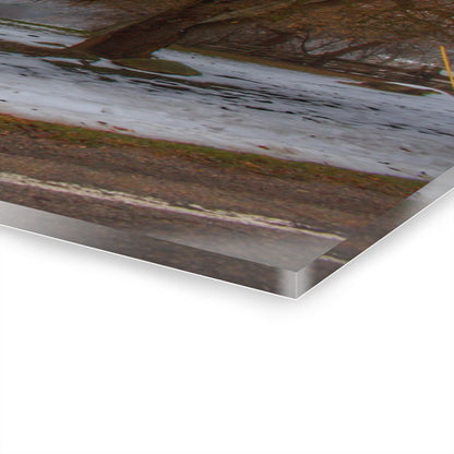 U R There Photography Ludwig Road Greys in the Fog Rustic Farmhouse Acrylic Wall Print