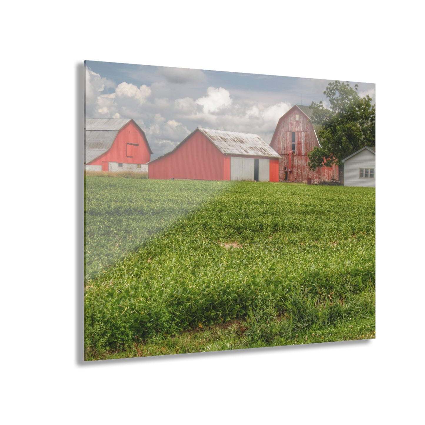 U R There Photography Roadside Trio Rustic Farmhouse Acrylic Wall Print