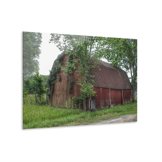 U R There Photography West Murphy Lake Red Rustic Farmhouse Acrylic Wall Print