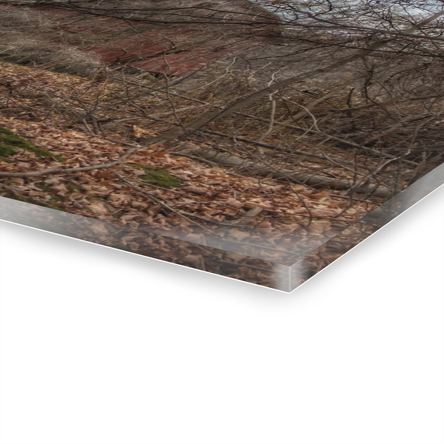 U R There Photography Mayville Hidden Barn II Rustic Farmhouse Acrylic Wall Print