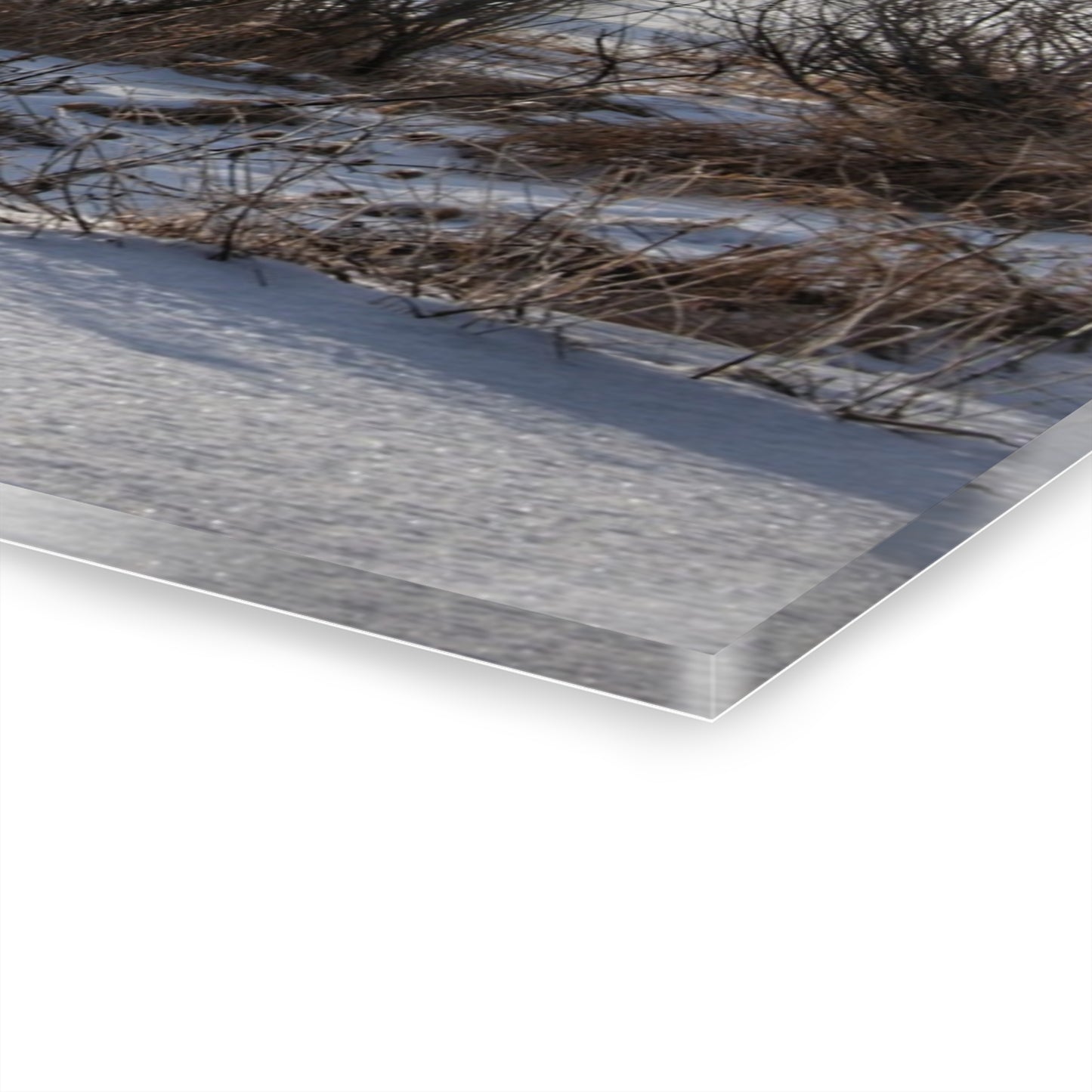 U R There Photography Winter in Mayfield Rustic Farmhouse Acrylic Wall Print