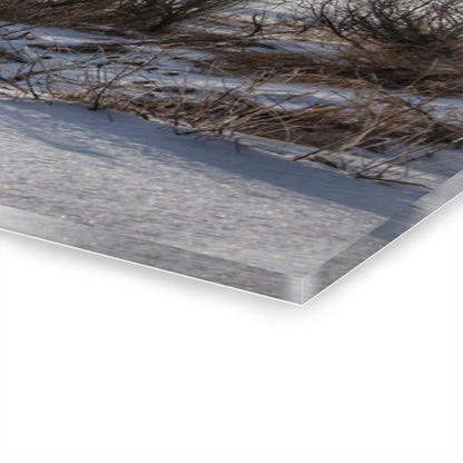 U R There Photography Winter in Mayfield Rustic Farmhouse Acrylic Wall Print