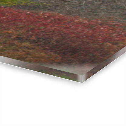 U R There Photography Freiberger Road Hidden Grey Rustic Farmhouse Acrylic Wall Print