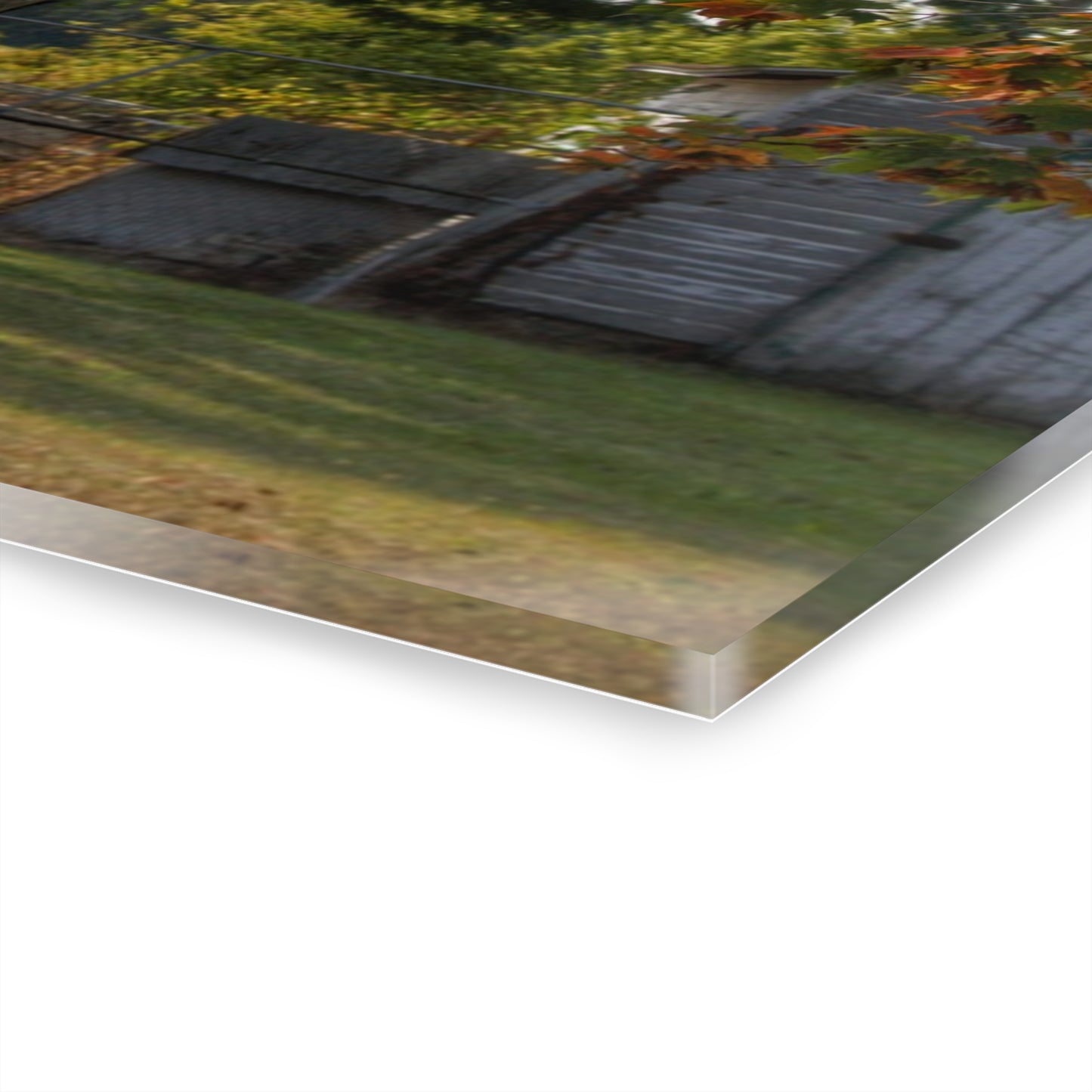 U R There Photography Hidden Grey of Tuscola Rustic Farmhouse Acrylic Wall Print