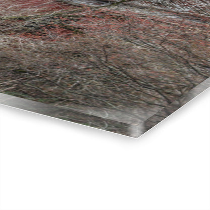 U R There Photography Morris Road Hidden Rustic Farmhouse Acrylic Wall Print