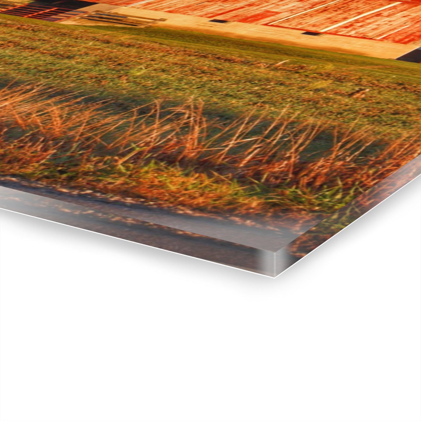 U R There Photography Lake Pleasant Corral Red II Rustic Farmhouse Acrylic Wall Print