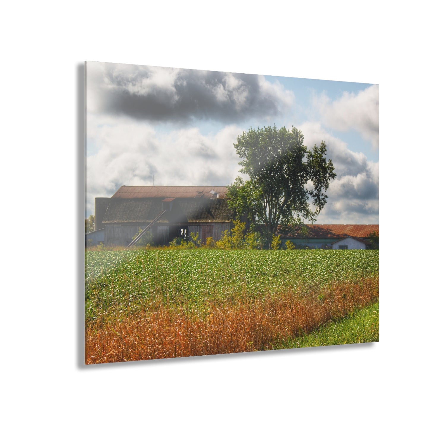 U R There Photography Silverwood Haybarn Rustic Farmhouse Acrylic Wall Print