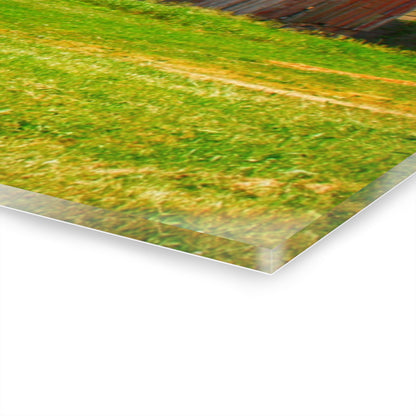 U R There Photography Marlette Red I Rustic Farmhouse Acrylic Wall Print