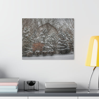 U R There Photography Hidden in Oxford I Rustic Farmhouse Acrylic Wall Print