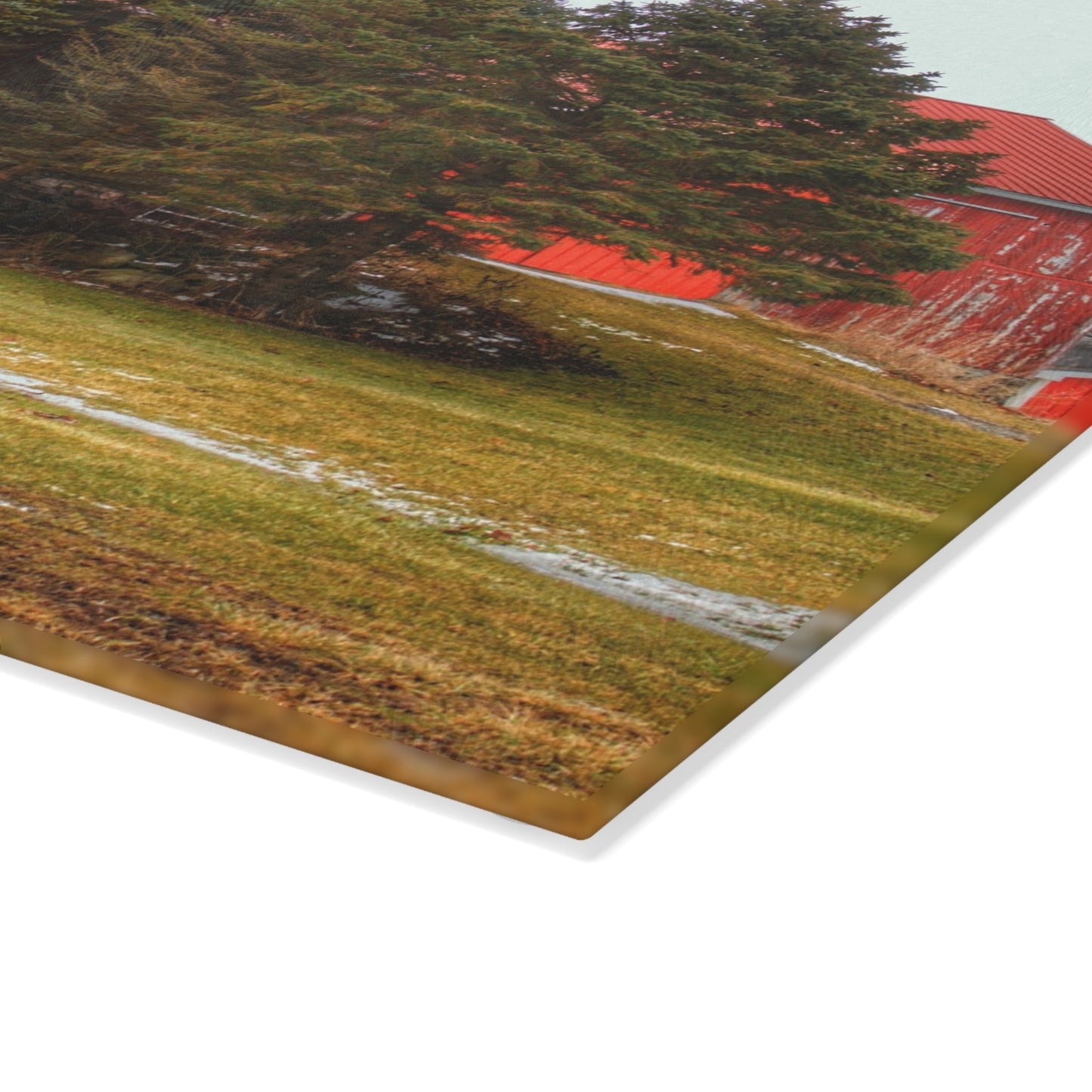 U R There Photography Laur Road Red Among the Pines III Rustic Farmhouse Tempered-Glass Cutting Board