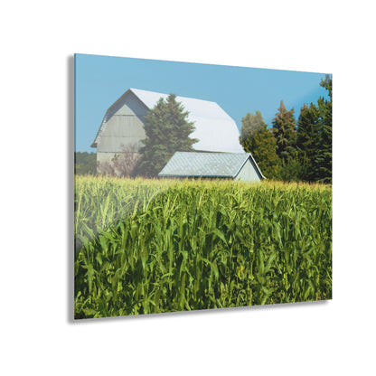 U R There Photography White Cornfield Barn Rustic Farmhouse Acrylic Wall Print