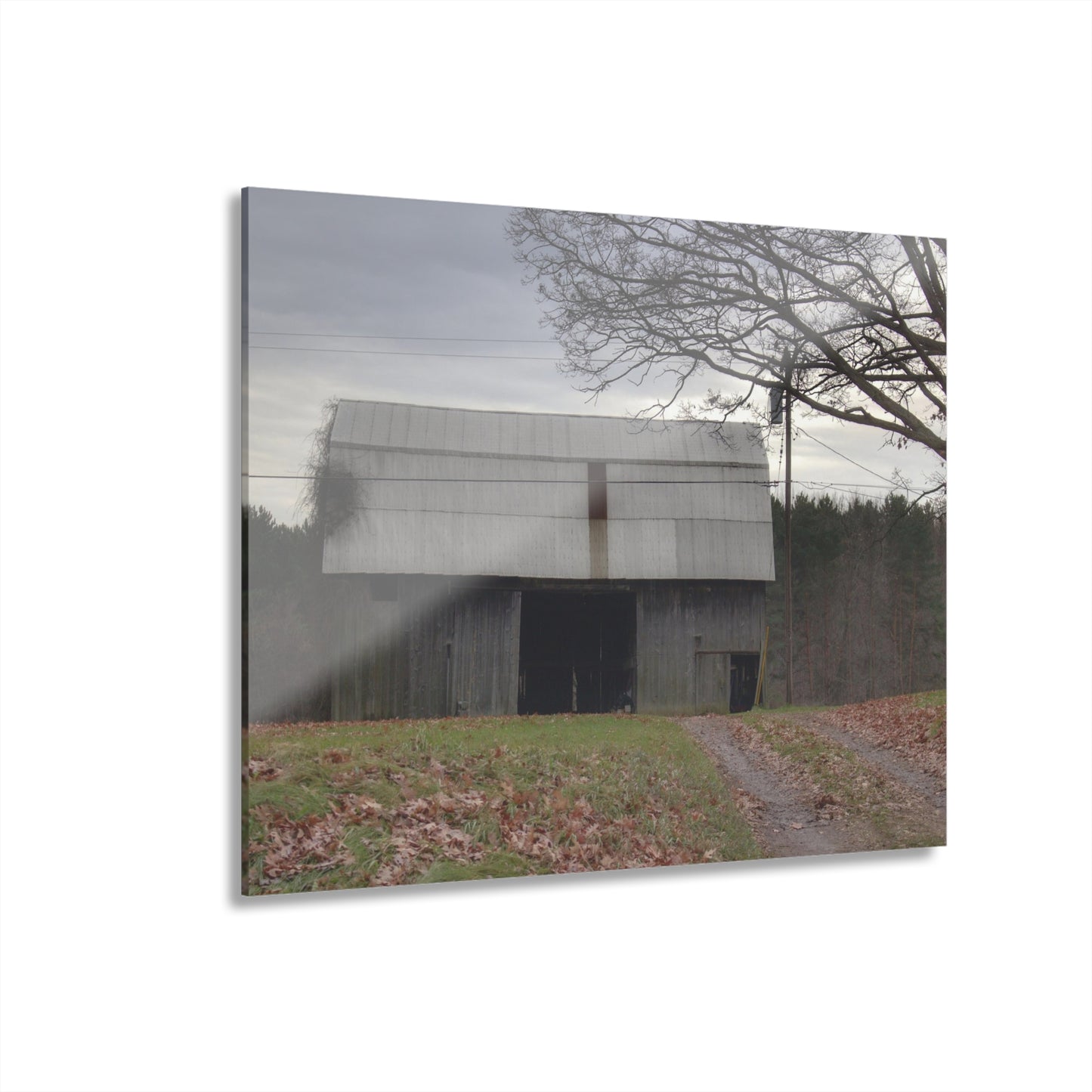 U R There Photography Grey Horse Barn Rustic Farmhouse Acrylic Wall Print