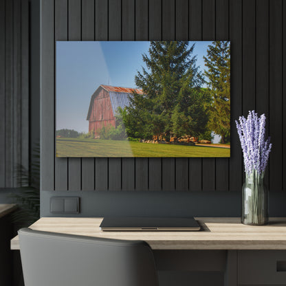 U R There Photography Mushroom Road Hidden Red Rustic Farmhouse Acrylic Wall Print