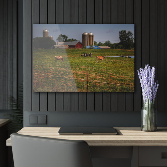 Barn Boutique Modern Farmhouse Acrylic Wall Print| Country Farm and Cows