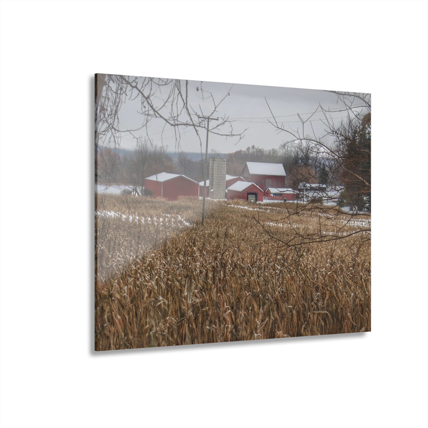 U R There Photography Beyond the Cornfield on Sutton Rustic Farmhouse Acrylic Wall Print