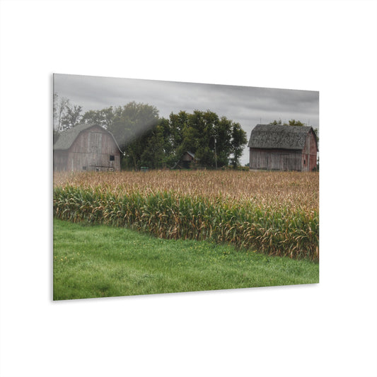 U R There Photography East Caro Road Reds Rustic Farmhouse Acrylic Wall Print