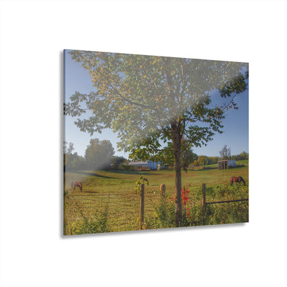 Barn Boutique Modern Farmhouse Acrylic Wall Print| Hunters Creek Ponies