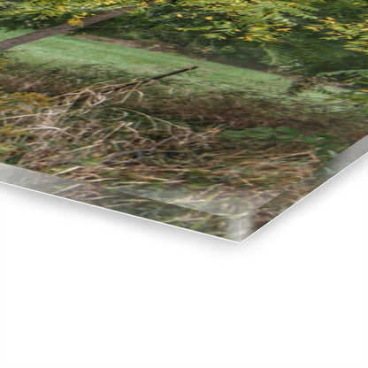 U R There Photography Hayes Road Hidden I Rustic Farmhouse Acrylic Wall Print