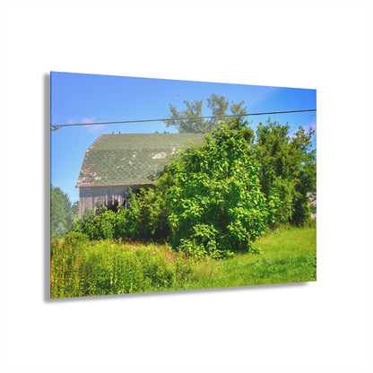 U R There Photography Hidden Grey of Hunters Creek Rustic Farmhouse Acrylic Wall Print