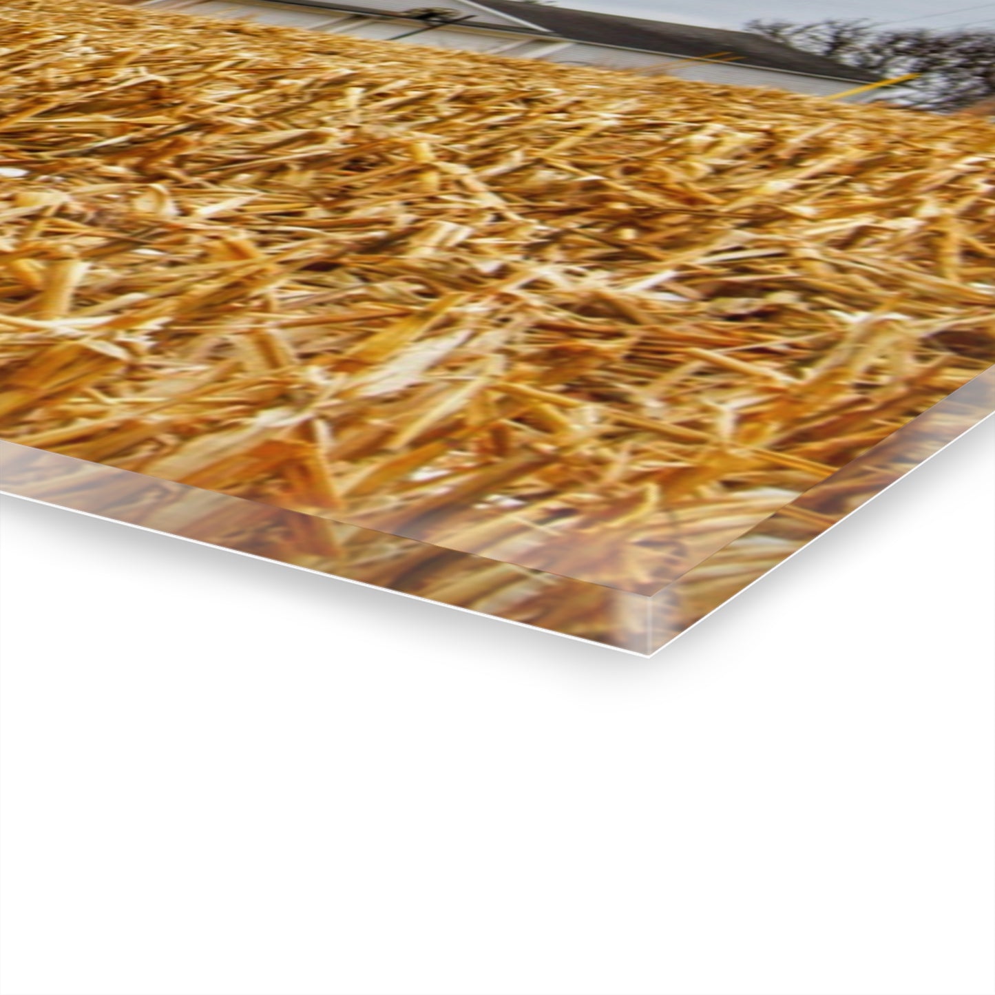 U R There Photography Jones Road Red Rustic Farmhouse Acrylic Wall Print