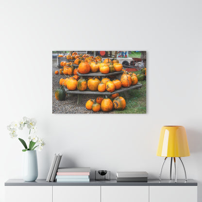 U R There Photography Tabletop Pumpkins Rustic Farmhouse Acrylic Wall Print