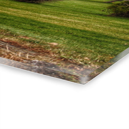 U R There Photography Goodrich Grey Rustic Farmhouse Acrylic Wall Print