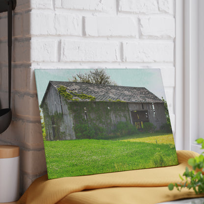 U R There Photography Caro Road Twin Grey II Rustic Farmhouse Tempered-Glass Cutting Board