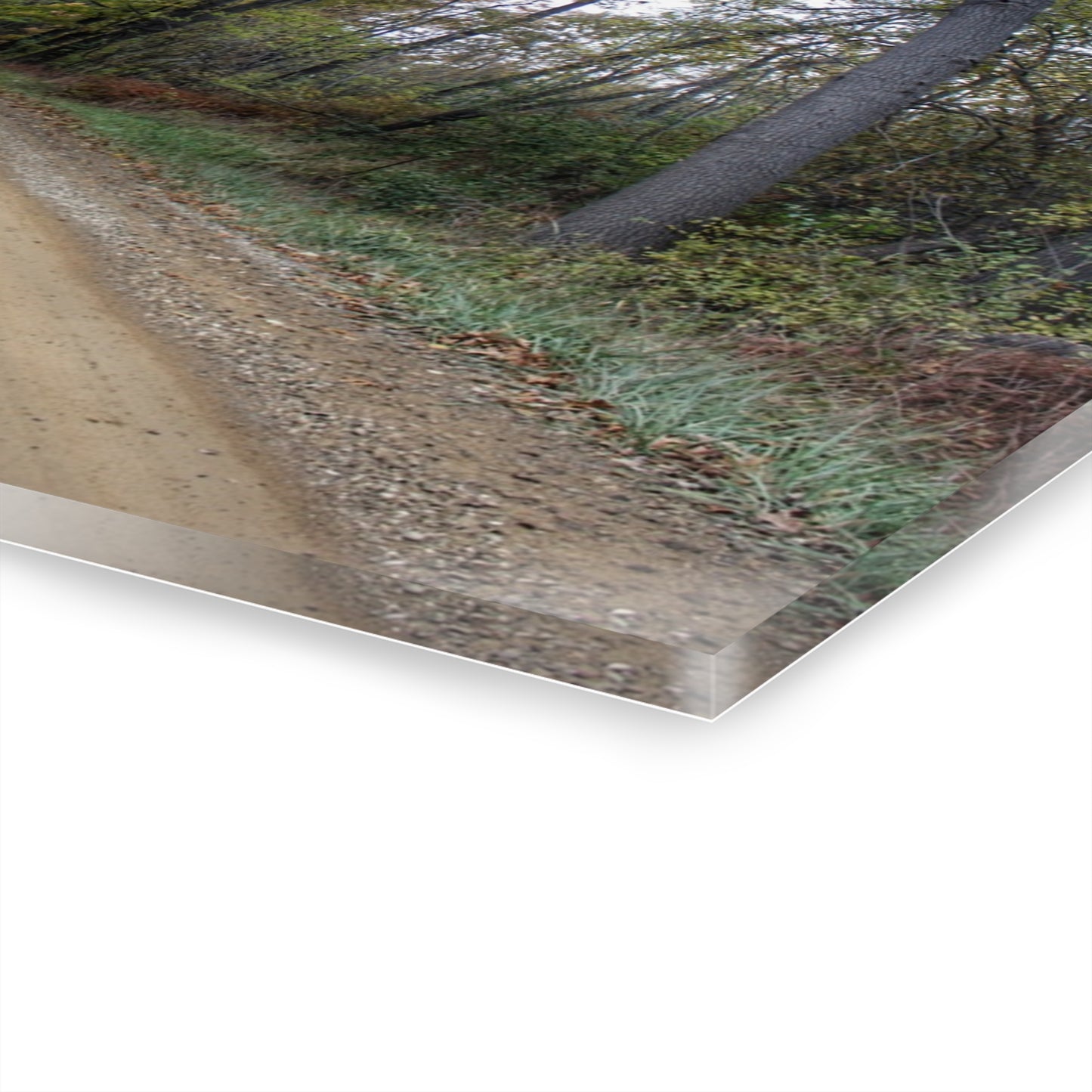 U R There Photography Country Roads in Dryden II Rustic Farmhouse Acrylic Wall Print