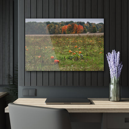 U R There Photography Once Upon a Time in a Pumpkin Patch Rustic Farmhouse Acrylic Wall Print