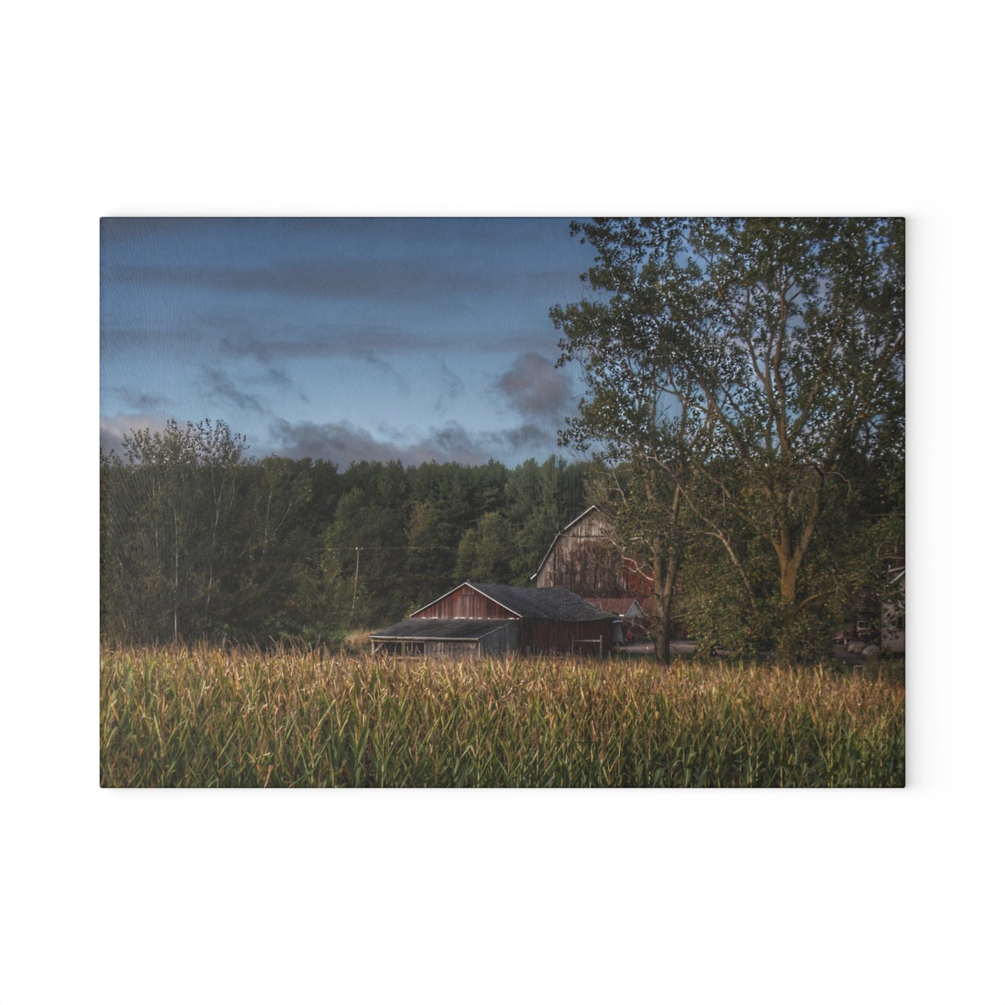 U R There Photography West Oregon Road Hidden Red II Rustic Farmhouse Tempered-Glass Cutting Board