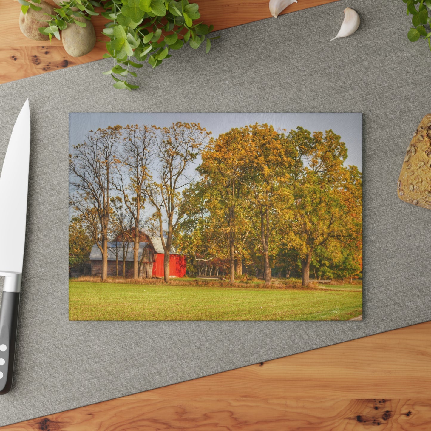 U R There Photography Barkley Road Red II Rustic Farmhouse Tempered-Glass Cutting Board