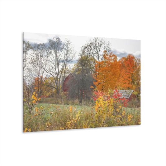 U R There Photography Bowers Hidden Red Rustic Farmhouse Acrylic Wall Print