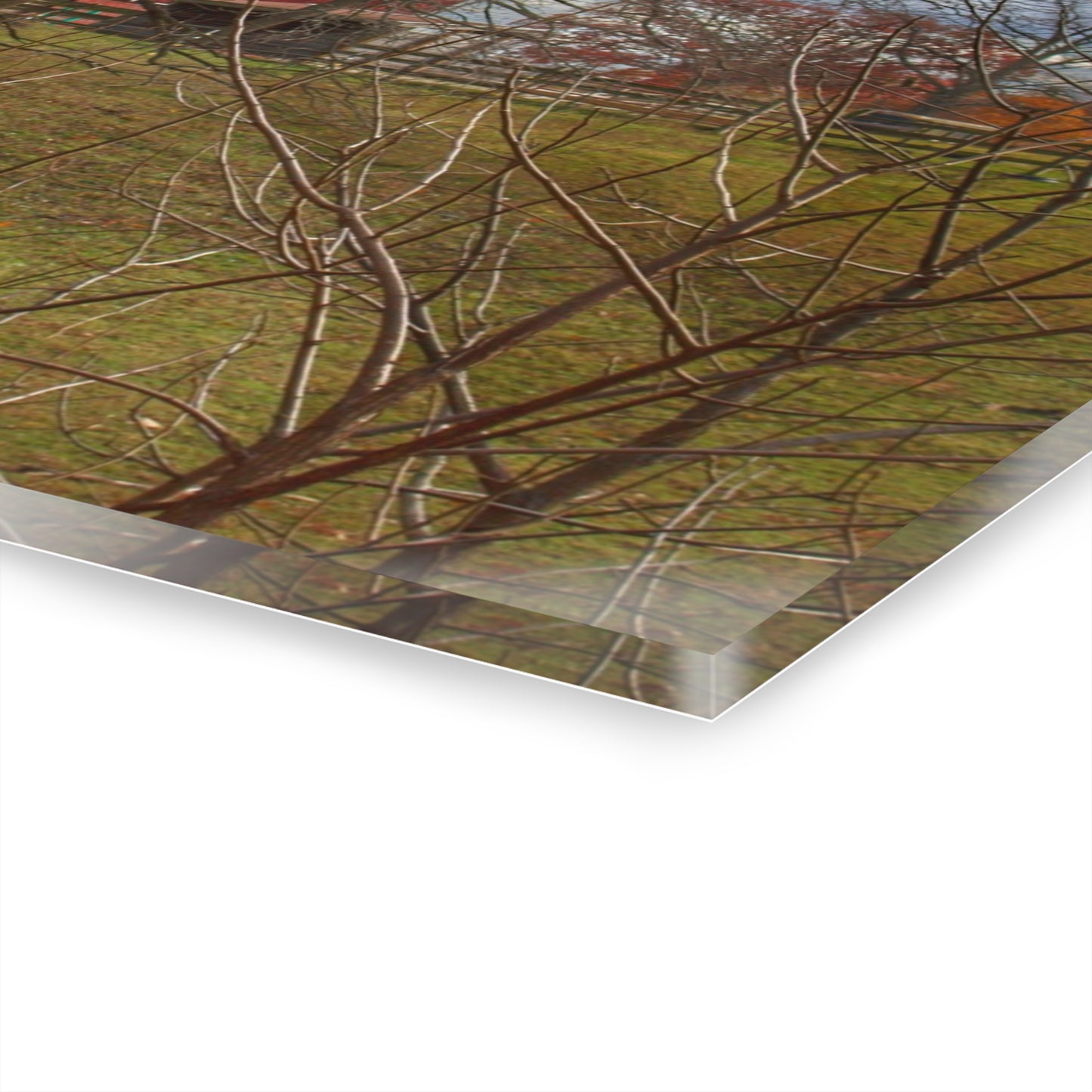 U R There Photography Laur Road Hidden Red Rustic Farmhouse Acrylic Wall Print