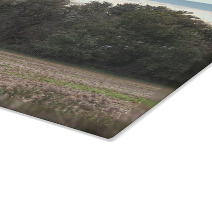 U R There Photography Burnside Road Grey I Rustic Farmhouse Tempered-Glass Cutting Board
