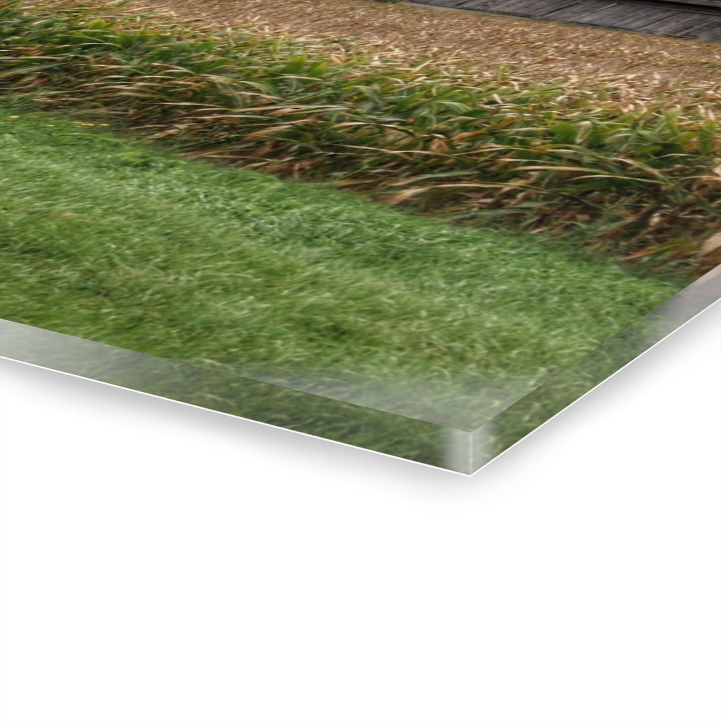 U R There Photography East Caro Road Reds Rustic Farmhouse Acrylic Wall Print