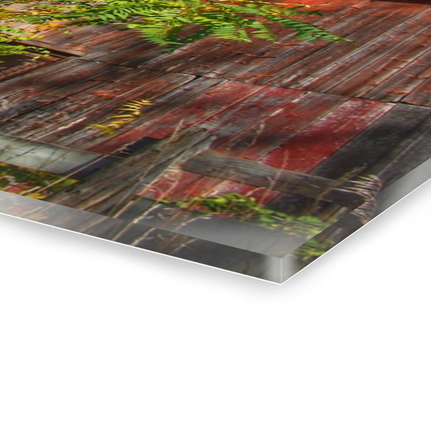 U R There Photography Oxford Rusted Red in Fall Rustic Farmhouse Acrylic Wall Print