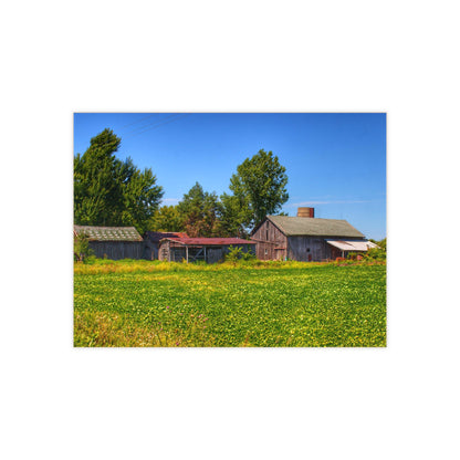 U R There Photography Birch Run Road Greys I Rustic Farmhouse Decorative Ceramic Tile