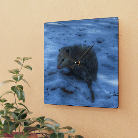 U R There Photography Sutton Road Possum Rustic Farmhouse Acrylic Analog Wall Clock