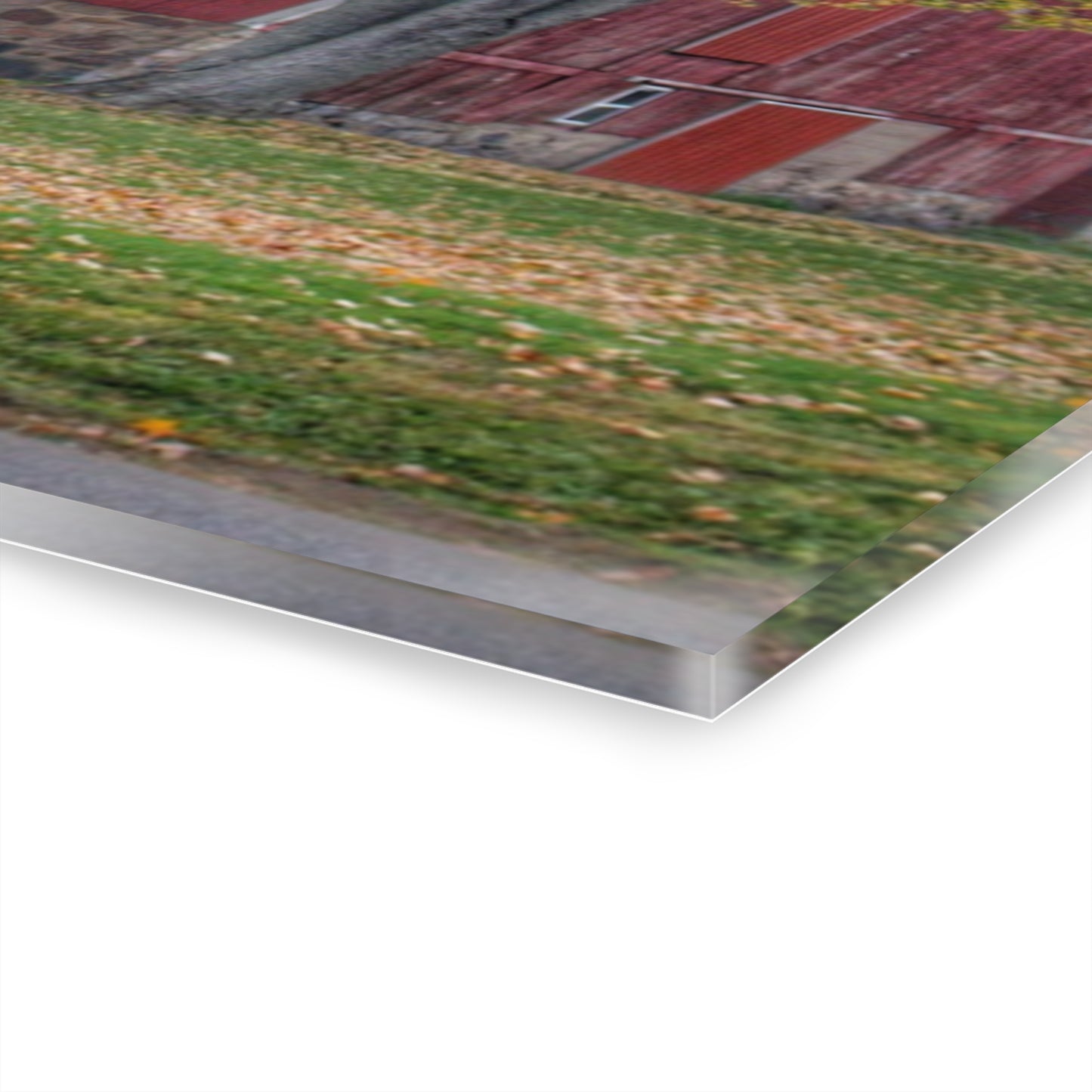 U R There Photography Mayville Lapeer Road Red in the Fall Rustic Farmhouse Acrylic Wall Print