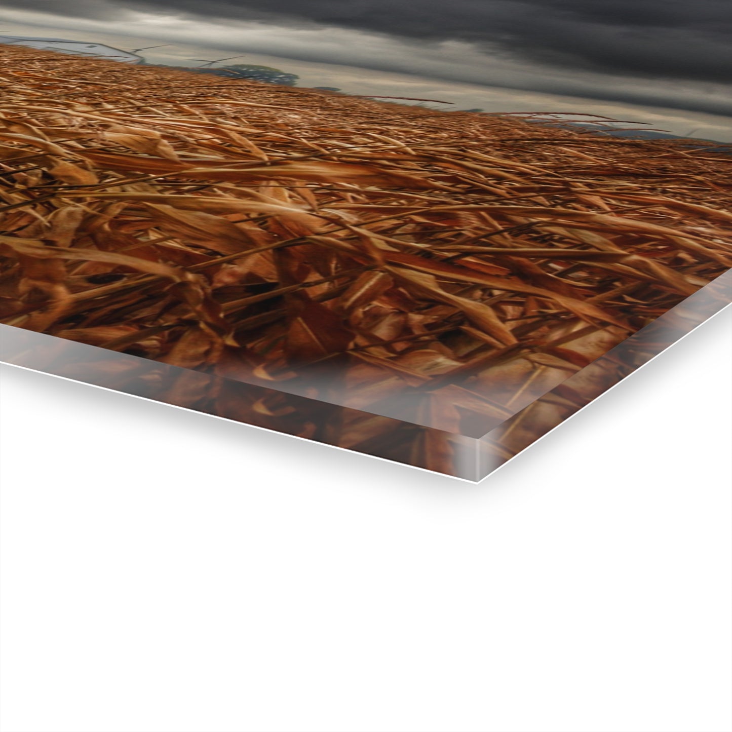 U R There Photography Garner Road Hidden White Rustic Farmhouse Acrylic Wall Print