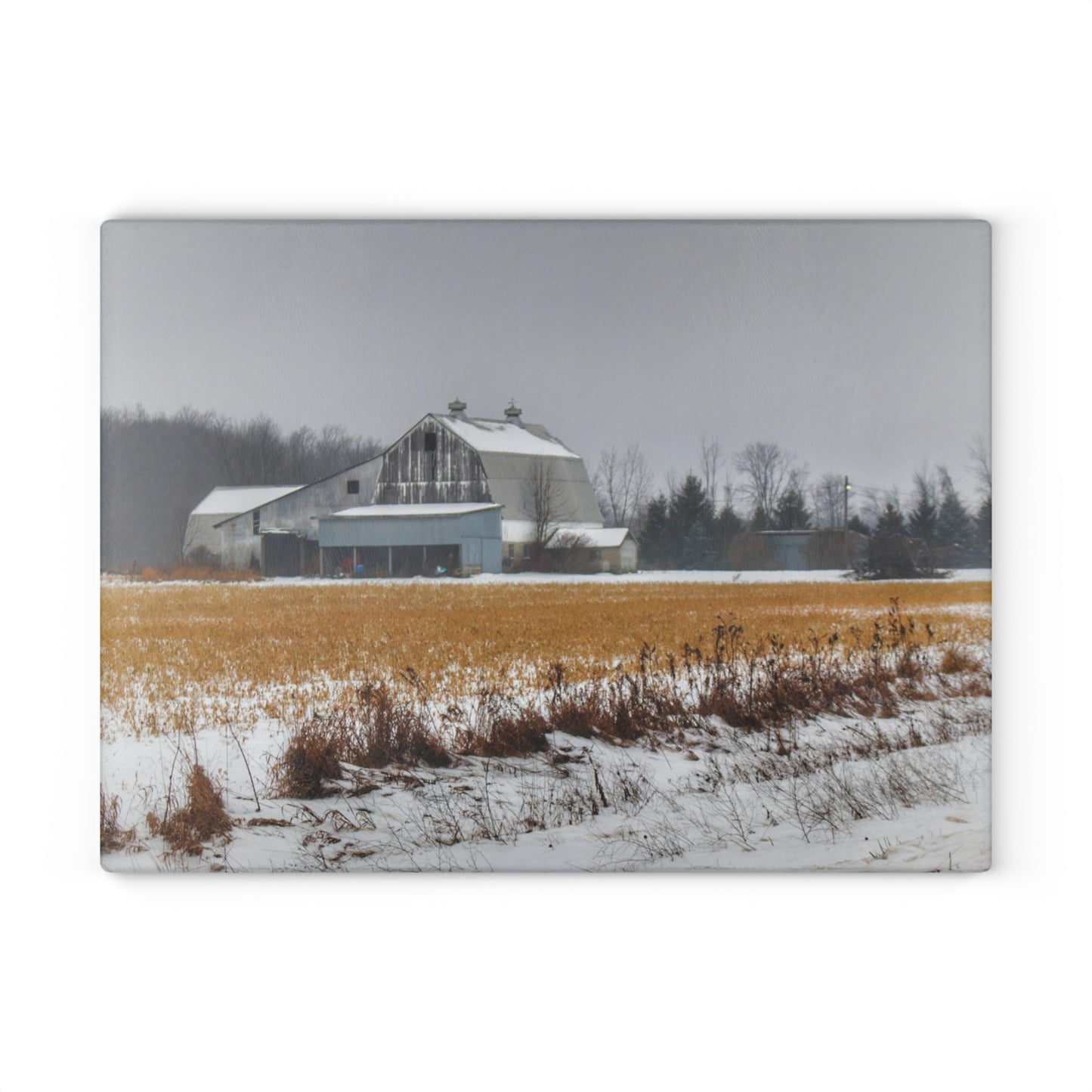 U R There Photography Argyle Road Grey Rustic Farmhouse Tempered-Glass Cutting Board