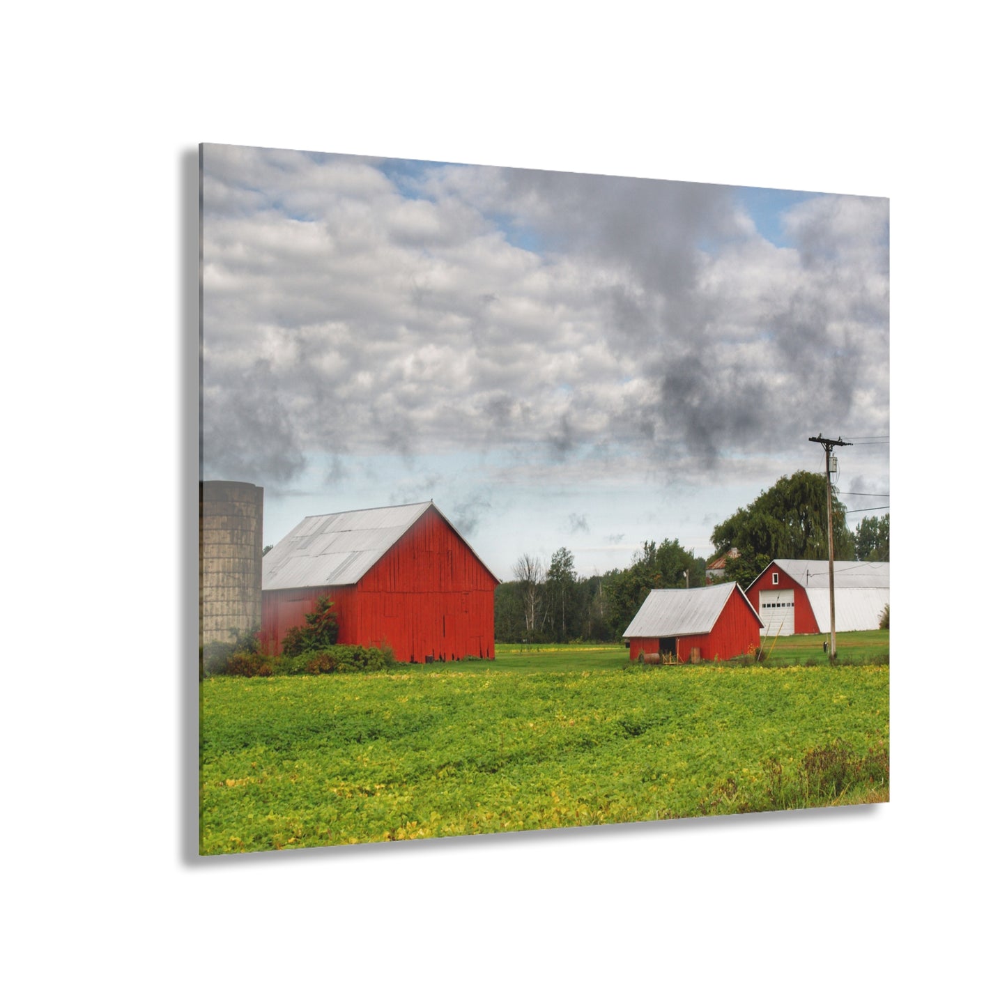 U R There Photography Kingston Road Trio II Rustic Farmhouse Acrylic Wall Print