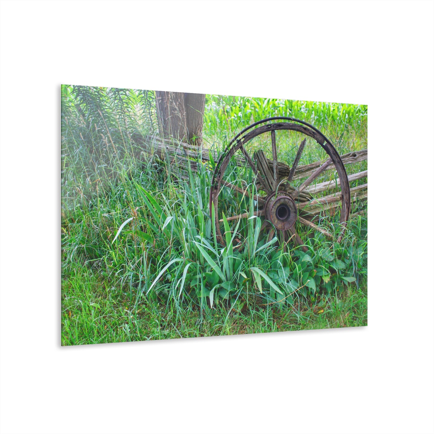 U R There Photography Wagon Wheel Fences Rustic Farmhouse Acrylic Wall Print